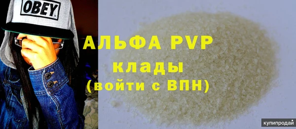 крисы Кулебаки