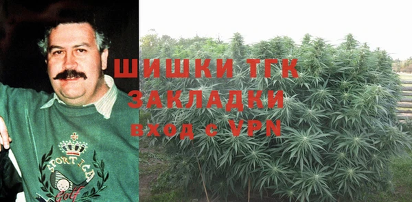 крисы Кулебаки