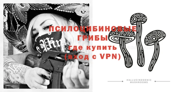 крисы Кулебаки