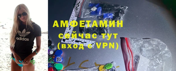 крисы Кулебаки
