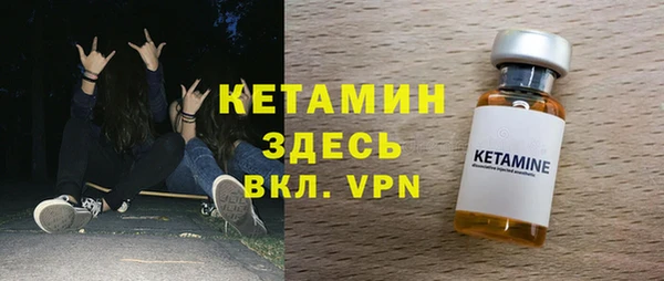 крисы Кулебаки