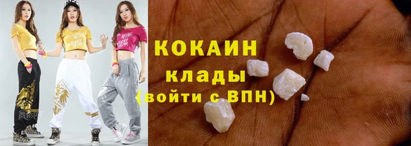 крисы Кулебаки