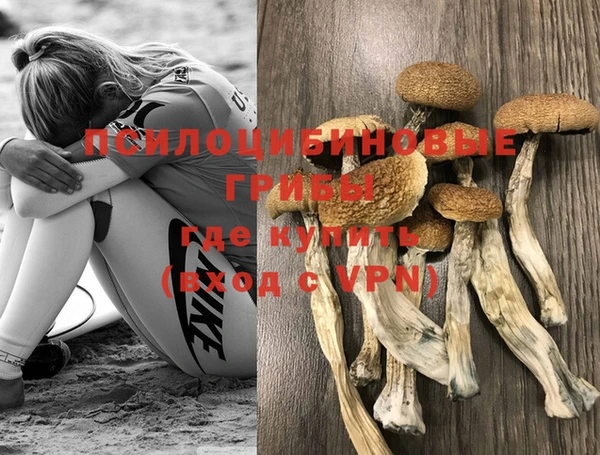 крисы Кулебаки