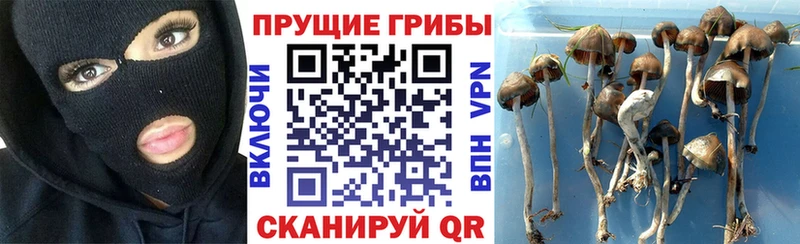 kraken ссылки  Елизаветинская  Галлюциногенные грибы ЛСД 